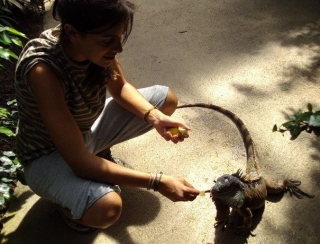 dando de comer a los reptiles